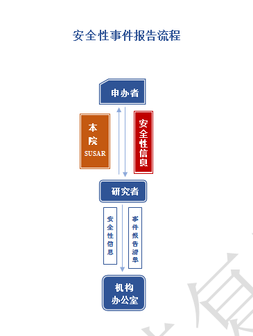 安全性事件报告流程