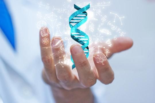 人类遗传资源管理流程